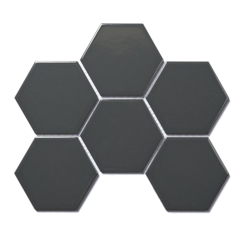 ����� 6610 / LIGHT GREY GLOSSY ��ǥ�̹���