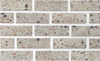 RY ��� �Ƹ� 55 : AP-202 ��ǥ�̹���