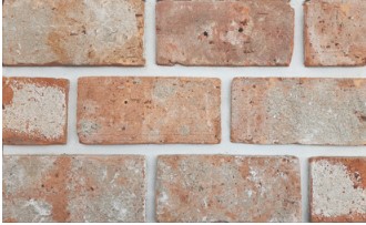 RY ������ 110 : R-110 ��ǥ�̹���