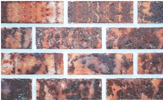 RY �����Ǿ����� 80 : KOB-6 ��ǥ�̹���