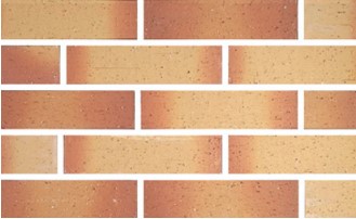 RY ���� 60 �׶��̼� : LAY-308 ��ǥ�̹���