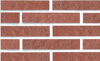 RY �������� 50 : EG-501 ��ǥ�̹���