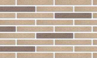 RY ���� 30 : SWS + SGS ��ǥ�̹���