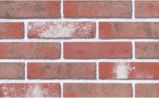 RY �� ����Ÿ�� : ����05 ��ǥ�̹���