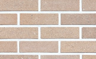 RY ��ȭ���� : FP-06 ��ǥ�̹���