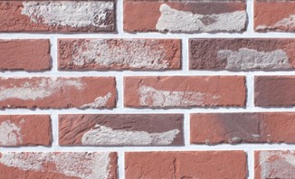 RY �õ�긯 : ���� ��ǥ�̹���