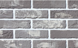 RY �õ�긯 : û�� ��ǥ�̹���