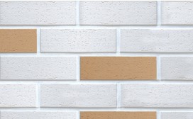 RY TŸ�� : TW + TY ��ǥ�̹���