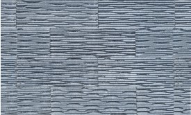 RY DS : DS-200 ��ǥ�̹���