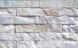 RY SS : SS-01 ��ǥ�̹���