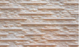 RY PS : PS-100 ��ǥ�̹���