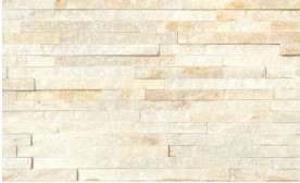 RY CS : CS-100 ��ǥ�̹���