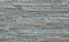 RY CS : CS-300 ��ǥ�̹���