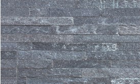 RY BS : BS-900 ��ǥ�̹���