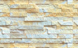 RY ���� �ݰ��� : VK-301 ��ǥ�̹���