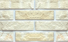 RY ���� : M-501 ��ǥ�̹���