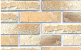 RY �ε���� : I-204 ��ǥ�̹���