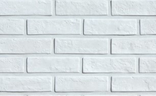 RY C-�ĺ��� : C-100 ��ǥ�̹���