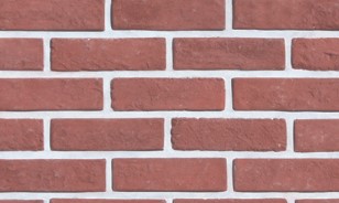 RY C-�ĺ��� : C-101 ��ǥ�̹���