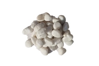 RY �ڰ��� : T-100 ��ǥ�̹���