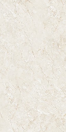 VCC ���帮��36 (����) ��ǥ�̹���