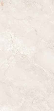 VCC ����36 (����) ��ǥ�̹���