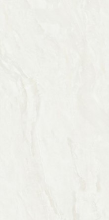 VCC �ĸ���36 (����) ��ǥ�̹���