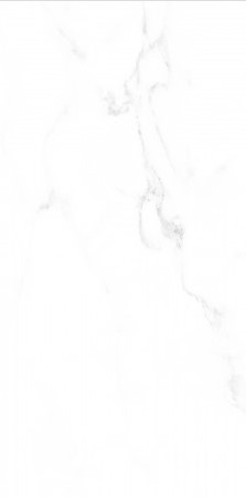 VCC CW-BG (����) ��ǥ�̹���