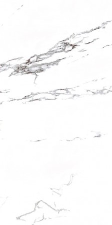 VCC CW-CD (����) ��ǥ�̹���