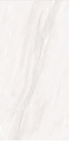 VCC 6D60699 (����) ��ǥ�̹���