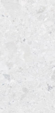 VCC 6A60625 (����) ��ǥ�̹���