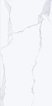 VCC 3E60651 (����) ��ǥ�̹���