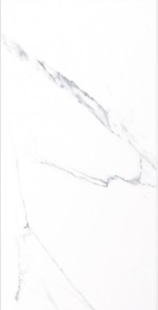 VCC 63698 (����) ��ǥ�̹���