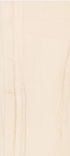 VCC 80610 (�ݹ���) ��ǥ�̹���