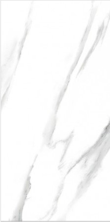 VCC VCC 3600 (����) ��ǥ�̹���