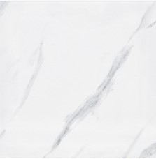  VCC 4500 (����) ��ǥ�̹���