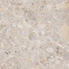 VCC 60TR13 (����) ��ǥ�̹���