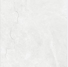 VCC PN60301 (����) ��ǥ�̹���