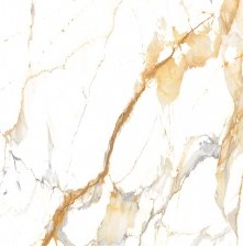 VCC ���ī����M (����) ��ǥ�̹���