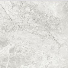 VCC ALS-CM (����) ��ǥ�̹���