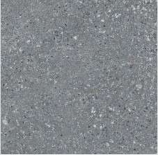 VCC VG60111 (����) ��ǥ�̹���