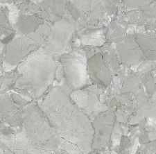 VCC �������׷��� (����) ��ǥ�̹���