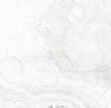 VCC PD6021 (����) ��ǥ�̹���