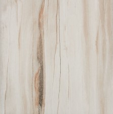 VCC  WE60A (����) ��ǥ�̹���