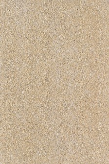 VCC 6922 (6-9FMS0022M) (����) ��ǥ�̹���