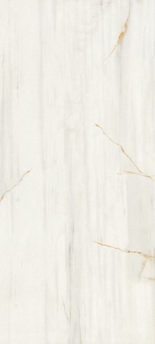 VCC 12-0028 (����) ��ǥ�̹���