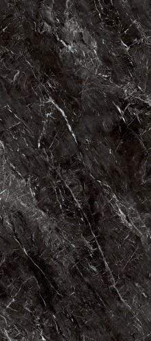 VCC 12-10260 (����) ��ǥ�̹���