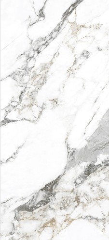 VCC CA021M (����) ��ǥ�̹���