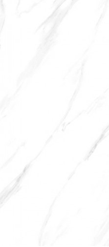 VCC 12001 (����) ��ǥ�̹���