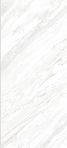 VCC M126H830B (ȥ��) ��ǥ�̹���